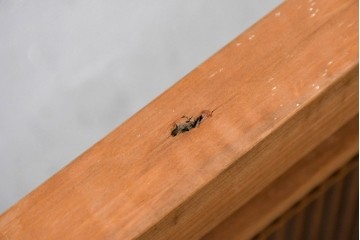 ヴィンテージ建具　昭和中期　細身の縦格子が美しい組子欄間2枚セット　(R-084887)