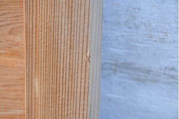 ヴィンテージ建具　昭和後期　井波彫刻　梅竹図の彫刻欄間1枚　(R-084891)