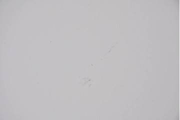 中古　美品　スイス　USMハラー(USM Haller)　ホームオフィスにもおすすめなスッキリとしたデザインのサイドキャビネット　定価約36万円相当　(R-084896)