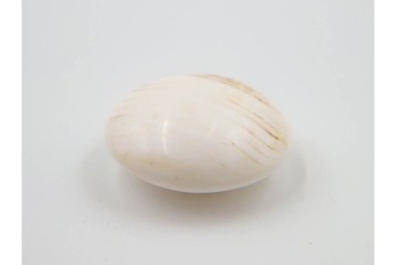 時代物　蛤・那智黒　螺鈿の花文が華やかな碁笥・碁石セット　(R-084907)