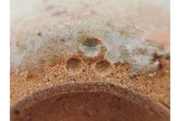 三右衛門焼　十三代 酒井田柿右衛門・十三代 今泉今右衛門・十三代 中里太郎右衛門　異なる表情を楽しめるぐい吞み3客セット　共箱付き　(R-084913)