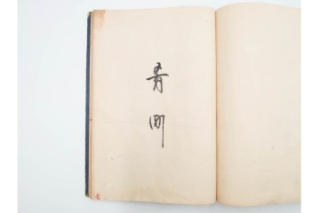 江戸期(嘉永)　伊勢町・紙屋町・中町・荒神町の御改帳　(R-084915)　