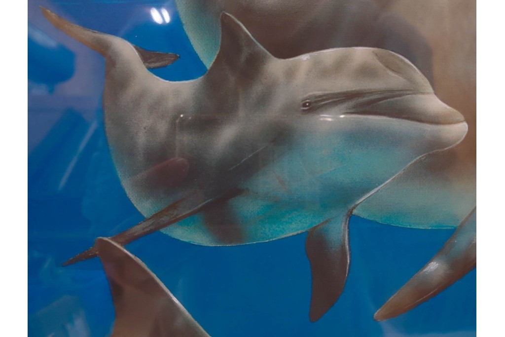 真作　直筆サイン入り　森田剛介(Gosuke Morita)　AP2/50　海中を泳ぐイルカが爽やかに描かれたシルクスクリーン　(R-084924)
