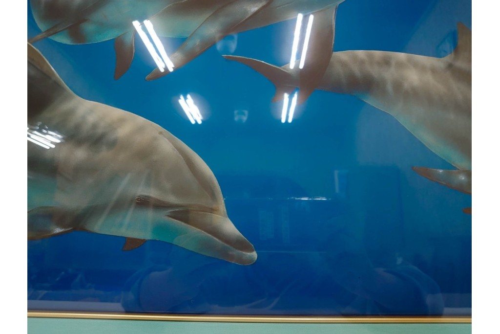 真作　直筆サイン入り　森田剛介(Gosuke Morita)　AP2/50　海中を泳ぐイルカが爽やかに描かれたシルクスクリーン　(R-084924)