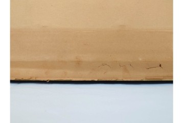 真作　直筆サイン入り　森田剛介(Gosuke Morita)　AP2/50　海中を泳ぐイルカが爽やかに描かれたシルクスクリーン　(R-084924)