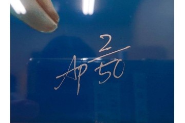 真作　直筆サイン入り　森田剛介(Gosuke Morita)　AP2/50　海中を泳ぐイルカが爽やかに描かれたシルクスクリーン　(R-084924)