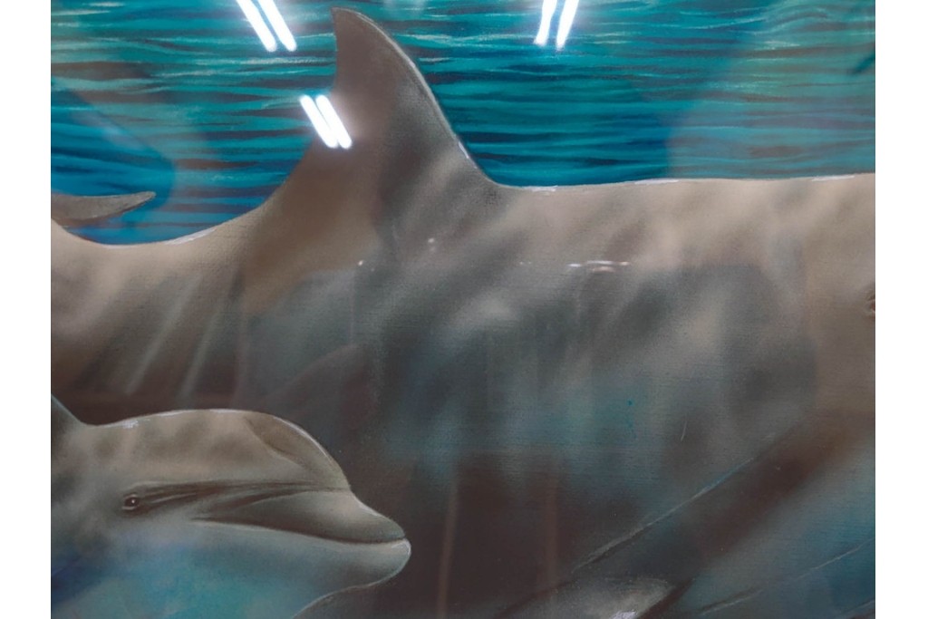 真作　直筆サイン入り　森田剛介(Gosuke Morita)　AP2/50　海中を泳ぐイルカが爽やかに描かれたシルクスクリーン　(R-084924)