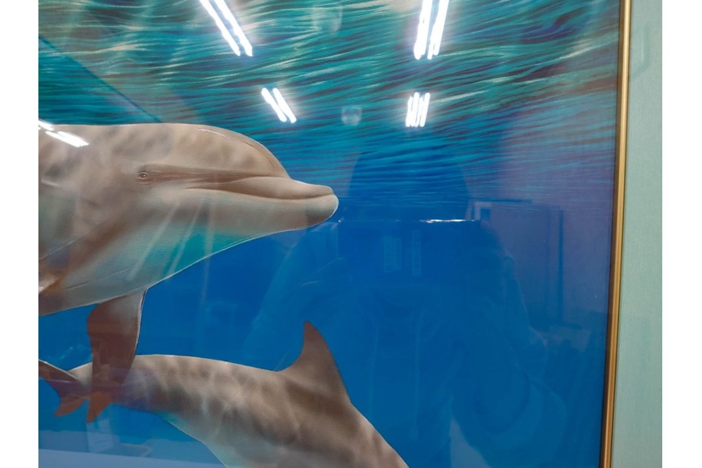 真作　直筆サイン入り　森田剛介(Gosuke Morita)　AP2/50　海中を泳ぐイルカが爽やかに描かれたシルクスクリーン　(R-084924)