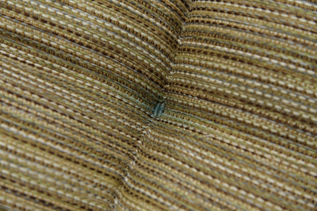 中古　美品　ACME Furniture(アクメファニチャー)　WICKER(ウィッカー)　ラタンフレームと柔らかなファブリックの素材感が魅力のイージーチェア　(R-084944)