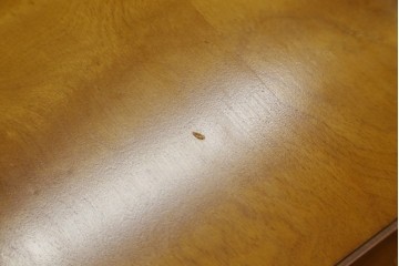 中古　美品　横浜クラシック家具　ダニエル(daniel)　上品な木肌が美しい重厚な両袖デスク　(R-084947)