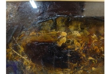 真作　1959年宮本三郎作　M6号　「えび」　外箱付き　(R-084957)