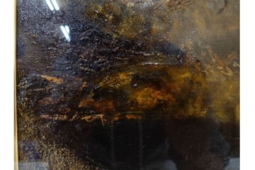 真作　1959年宮本三郎作　M6号　「えび」　外箱付き　(R-084957)