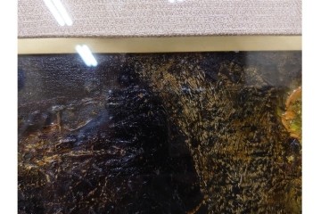 真作　1959年宮本三郎作　M6号　「えび」　外箱付き　(R-084957)