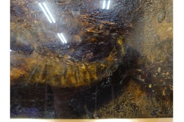 真作　1959年宮本三郎作　M6号　「えび」　外箱付き　(R-084957)