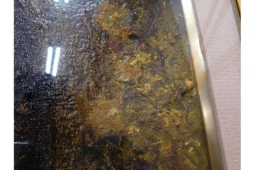 真作　1959年宮本三郎作　M6号　「えび」　外箱付き　(R-084957)