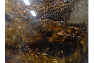 真作　1959年宮本三郎作　M6号　「えび」　外箱付き　(R-084957)