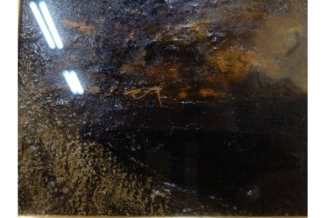 真作　1959年宮本三郎作　M6号　「えび」　外箱付き　(R-084957)