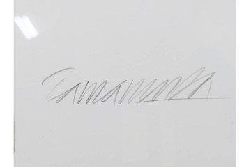 真作　直筆サイン入り　玉村豊男　「ソーヴィニヨンブラン 2013 ヴィンテージ」　みずみずしいぶどうが描かれた水彩画　外箱付き　(R-084958)