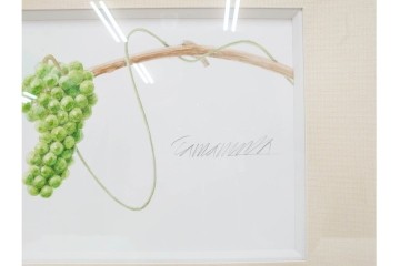 真作　直筆サイン入り　玉村豊男　「ソーヴィニヨンブラン 2013 ヴィンテージ」　みずみずしいぶどうが描かれた水彩画　外箱付き　(R-084958)