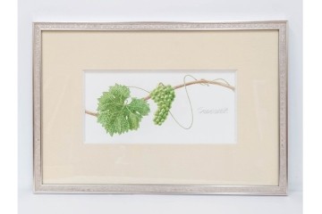 真作　直筆サイン入り　玉村豊男　「ソーヴィニヨンブラン 2013 ヴィンテージ」　みずみずしいぶどうが描かれた水彩画　外箱付き　(R-084958)