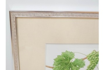 真作　直筆サイン入り　玉村豊男　「ソーヴィニヨンブラン 2013 ヴィンテージ」　みずみずしいぶどうが描かれた水彩画　外箱付き　(R-084958)