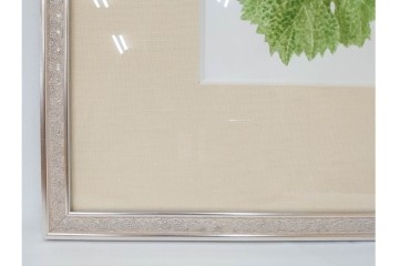 真作　直筆サイン入り　玉村豊男　「ソーヴィニヨンブラン 2013 ヴィンテージ」　みずみずしいぶどうが描かれた水彩画　外箱付き　(R-084958)