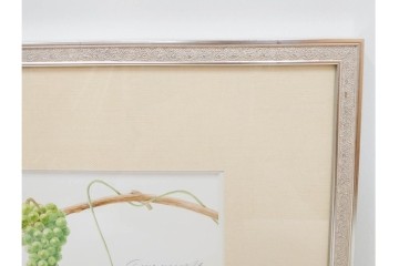 真作　直筆サイン入り　玉村豊男　「ソーヴィニヨンブラン 2013 ヴィンテージ」　みずみずしいぶどうが描かれた水彩画　外箱付き　(R-084958)