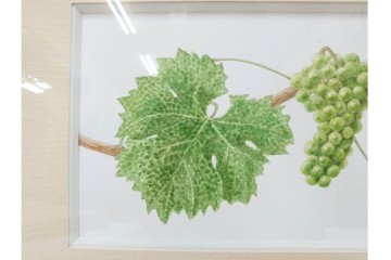 真作　直筆サイン入り　玉村豊男　「ソーヴィニヨンブラン 2013 ヴィンテージ」　みずみずしいぶどうが描かれた水彩画　外箱付き　(R-084958)