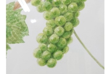 真作　直筆サイン入り　玉村豊男　「ソーヴィニヨンブラン 2013 ヴィンテージ」　みずみずしいぶどうが描かれた水彩画　外箱付き　(R-084958)