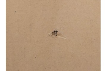 真作　直筆サイン入り　1876～1958年モーリス・ド・ヴラマンク作　リトグラフ　「風景」　外箱付き　(R-084959)