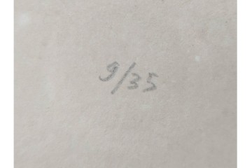 真作　サイン入り　アリスティド・マイヨール　9/35　裸婦のリトグラフ　外箱付き　(R-084960)