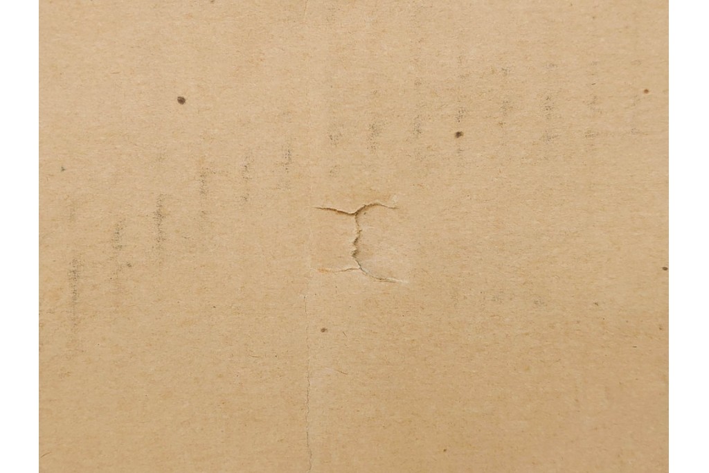 真作　サイン入り　アリスティド・マイヨール　9/35　裸婦のリトグラフ　外箱付き　(R-084960)