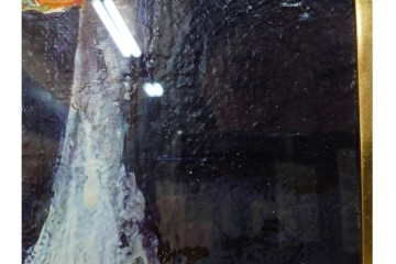 真作　杉山吉伸　SMサイズ　「ポピー」　油彩絵画　(R-084962)