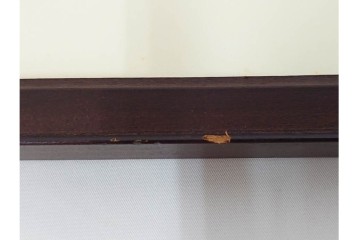 真作　サイン入り　1986年池田修三作　「あかいとり」　木版画　(R-084963)