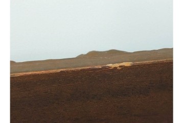 真作　サイン入り　中村善策　P8(8号)　「信濃路の秋」　色彩豊かに描かれた油彩絵画　(R-084964)