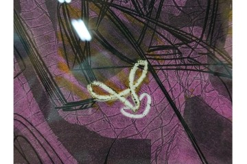 真作　サイン入り　1956年スタンリー・ウィリアム・ヘイター(Stanley William Hayter)作　42/50　「Icarus(イカロス)」　力強い線が印象的な銅版画　外箱付き　(R-084967)