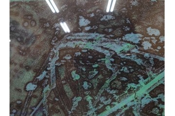 真作　1958年作　サイン入り　スタンリー・ウィリアム・ヘイター(Stanley William Hayter)　「Meduse(メデュース)」　重なり合う線描と色彩表現が印象的な銅版画　外箱付き　(R-084969)