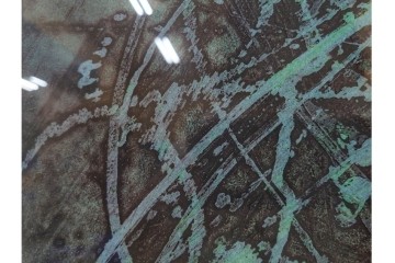 真作　1958年作　サイン入り　スタンリー・ウィリアム・ヘイター(Stanley William Hayter)　「Meduse(メデュース)」　重なり合う線描と色彩表現が印象的な銅版画　外箱付き　(R-084969)