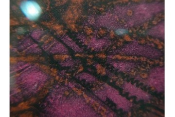 真作　サイン入り　1963年作　スタンリー・ウィリアム・ヘイター(Stanley William Hayter)　18/50　「Red Flow(レッド・フロー)」赤を基調とした色彩と流動的な線表現が印象的な銅版画　外箱付き　(R-084970)