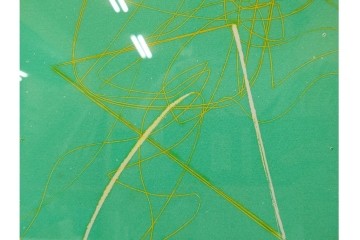 真作　サイン入り　1976年作　スタンリー・ウィリアム・ヘイター(Stanley William Hayter)　66/75　「Chinese Circus(チャイニーズ・サーカス)」　色彩と奔放な線が響き合う銅版画　外箱付き　(R-084973)　