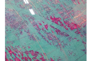 真作　サイン入り　1964年作　スタンリー・ウィリアム・ヘイター(Stanley William Hayter)　16/50　「Rapides(急流)」　穏やかな色彩の重なりが空間に彩りを添える銅版画　外箱付き　(R-084975)