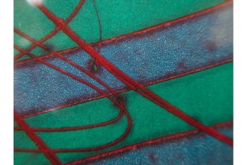 真作　サイン入り　1976年作　スタンリー・ウィリアム・ヘイター(Stanley William Hayter)　50/75　「Sea Serpent(シー・サーペント)」　深海のうねりを思わせる銅版画　外箱付き　(R-084977)　