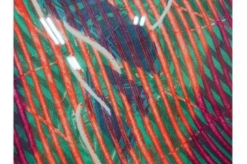 真作　サイン入り　1968年作　スタンリー・ウィリアム・ヘイター(Stanley William Hayter)　「Vortex(ボルテックス)」　渦巻く線と色彩が静かに視線を引き寄せる銅版画　外箱付き　(R-084980)