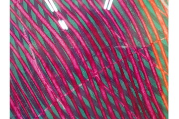 真作　サイン入り　1968年作　スタンリー・ウィリアム・ヘイター(Stanley William Hayter)　「Vortex(ボルテックス)」　渦巻く線と色彩が静かに視線を引き寄せる銅版画　外箱付き　(R-084980)