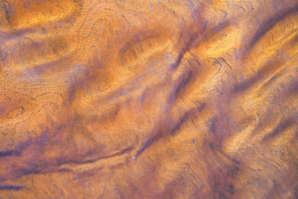 和製ヴィンテージ　上手物!!　作行きの良い逸品!!　栃の木一枚板・漆塗り　美しい鯉の彫刻の衝立　(R-085033)