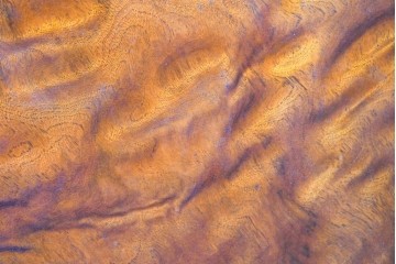 和製ヴィンテージ　上手物!!　作行きの良い逸品!!　栃の木一枚板・漆塗り　美しい鯉の彫刻の衝立　(R-085033)