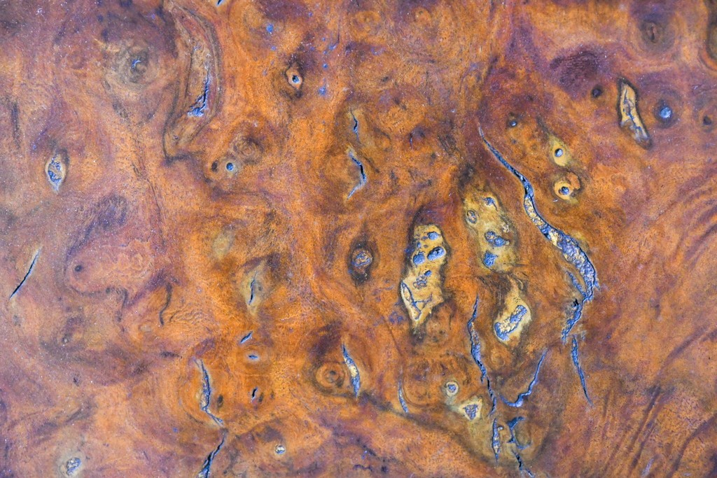 和製ヴィンテージ　上手物!!　作行きの良い逸品!!　栃の木一枚板・漆塗り　美しい鯉の彫刻の衝立　(R-085033)