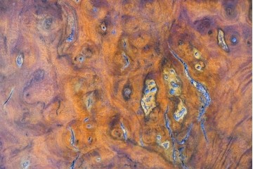 和製ヴィンテージ　上手物!!　作行きの良い逸品!!　栃の木一枚板・漆塗り　美しい鯉の彫刻の衝立　(R-085033)