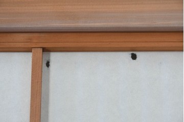 ヴィンテージ建具　昭和中期　高級品!!　細かな縦格子がすっきりとした印象の幅広裏障子付き格子戸2枚セット　(R-085034)