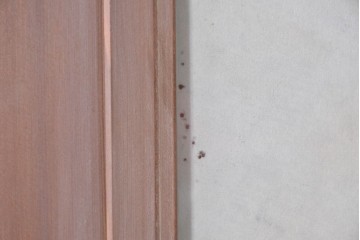 ヴィンテージ建具　昭和中期　高級品　斜め格子の組子が上品な裏障子付き引き戸2枚セット　(R-085035)